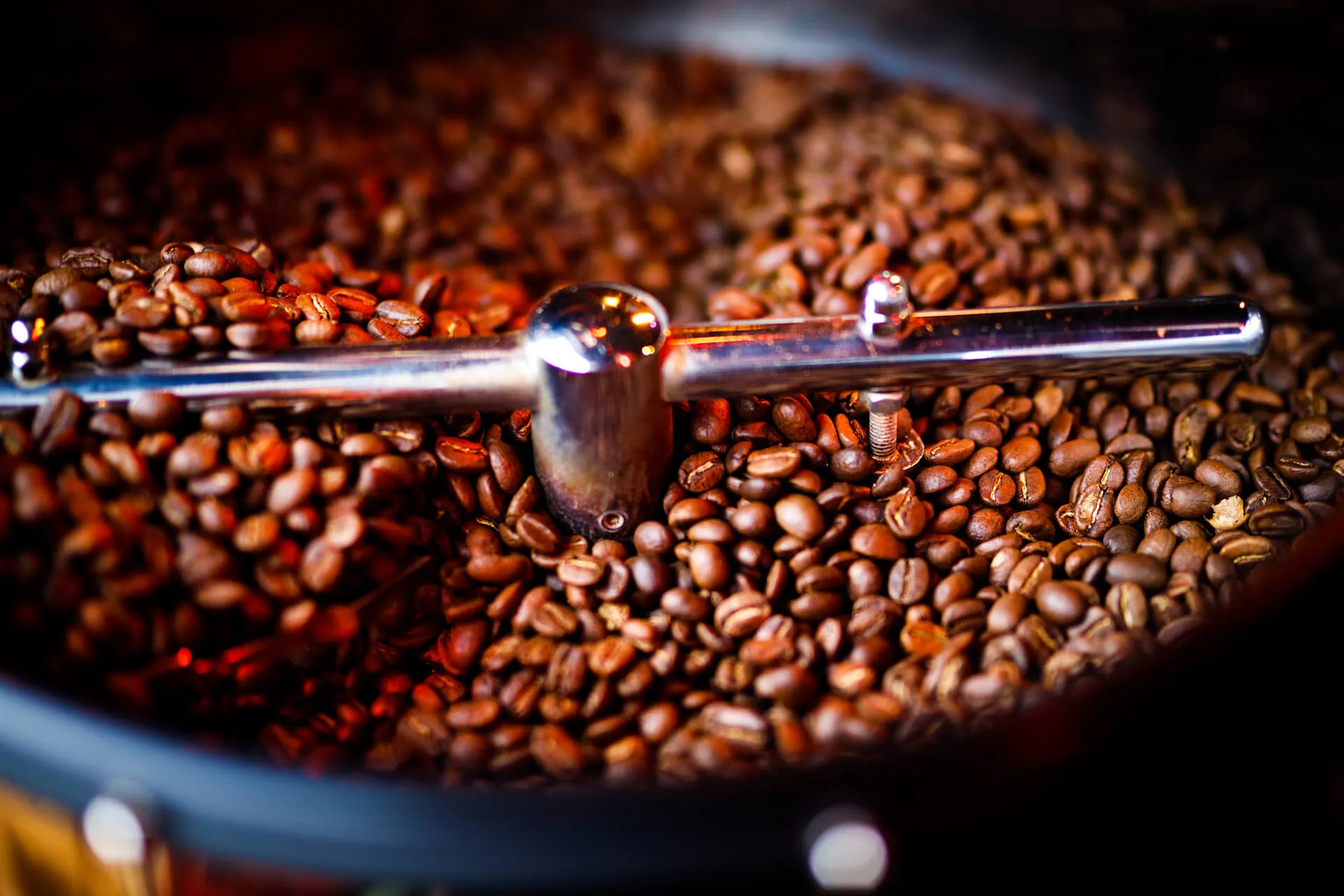 Разлики между арабика и робуста във вкус и плътност при еспресо